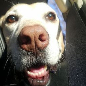 Meet your Posher, Zoe